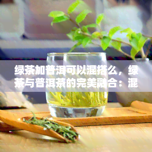 绿茶加普洱可以混搭么，绿茶与普洱茶的完美融合：混搭尝试