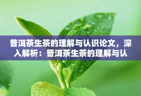 普洱茶生茶的理解与认识论文，深入解析：普洱茶生茶的理解与认识