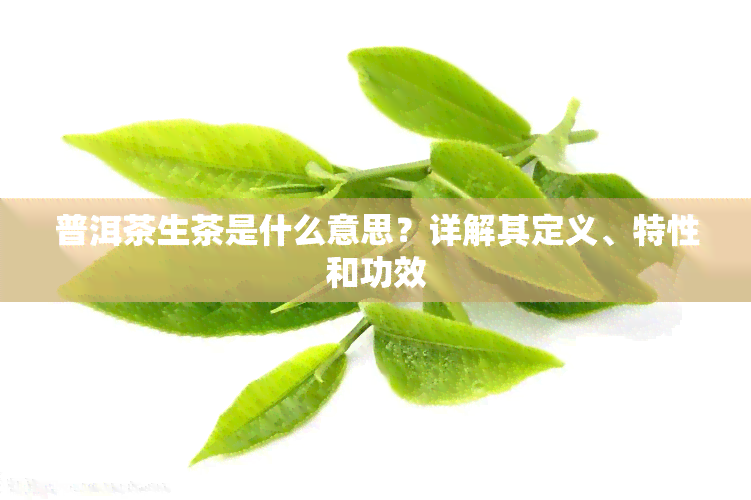 普洱茶生茶是什么意思？详解其定义、特性和功效