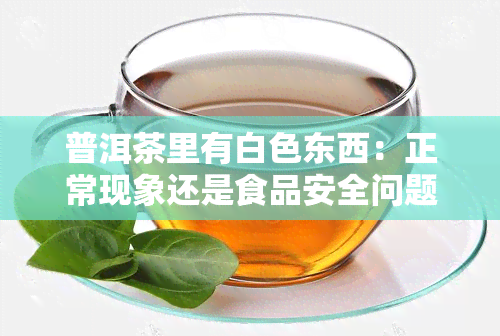 普洱茶里有白色东西：正常现象还是食品安全问题？