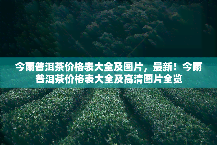 今雨普洱茶价格表大全及图片，最新！今雨普洱茶价格表大全及高清图片全览