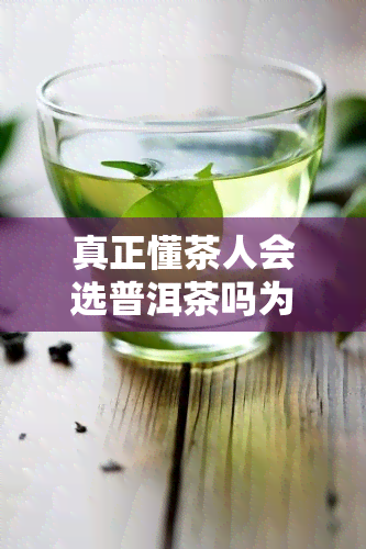 真正懂茶人会选普洱茶吗为什么，揭秘：为何真正的懂茶人会选择普洱茶？