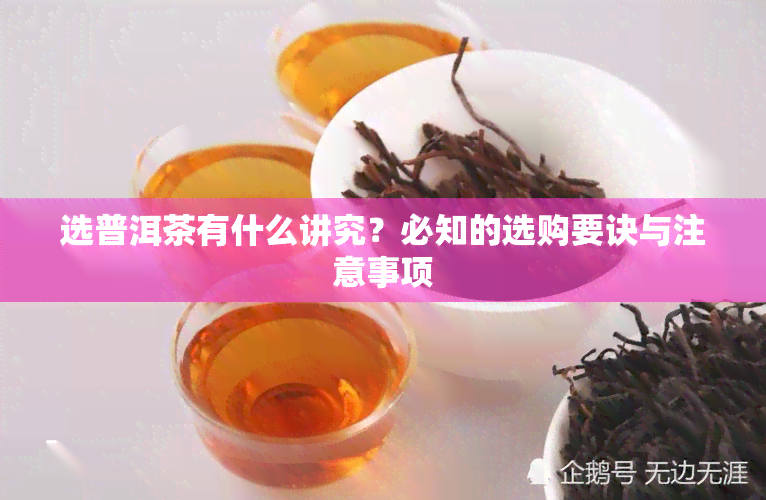 选普洱茶有什么讲究？必知的选购要诀与注意事项