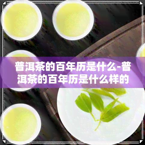 普洱茶的百年历是什么-普洱茶的百年历是什么样的