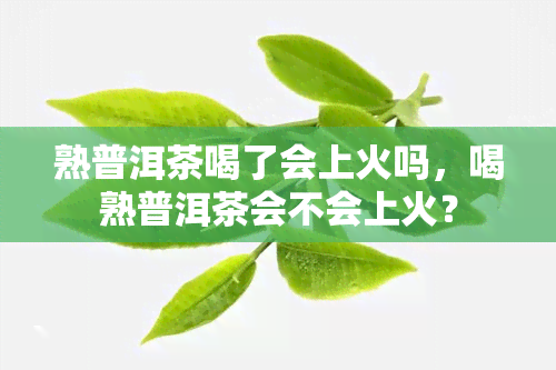 熟普洱茶喝了会上火吗，喝熟普洱茶会不会上火？