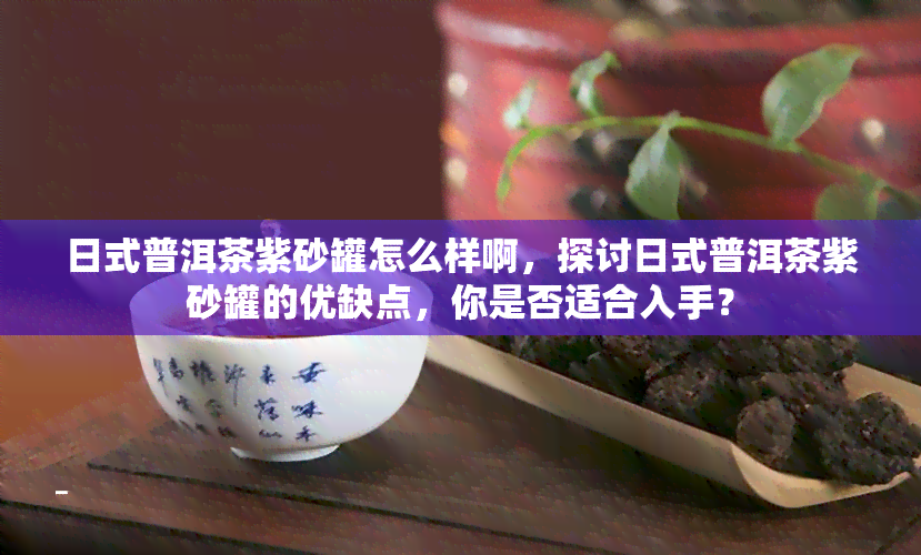 日式普洱茶紫砂罐怎么样啊，探讨日式普洱茶紫砂罐的优缺点，你是否适合入手？