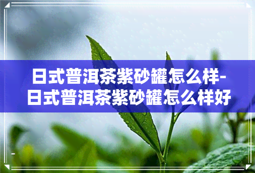 日式普洱茶紫砂罐怎么样-日式普洱茶紫砂罐怎么样好喝吗