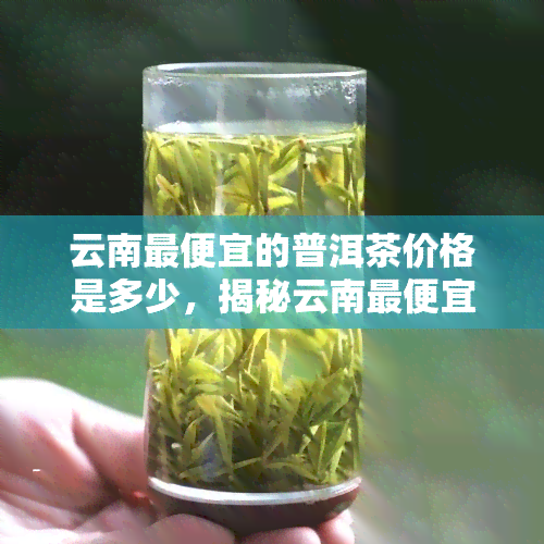 云南更便宜的普洱茶价格是多少，揭秘云南更便宜的普洱茶价格！