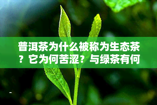 普洱茶为什么被称为生态茶？它为何苦涩？与绿茶有何关联？生茶和熟茶的区别是什么？