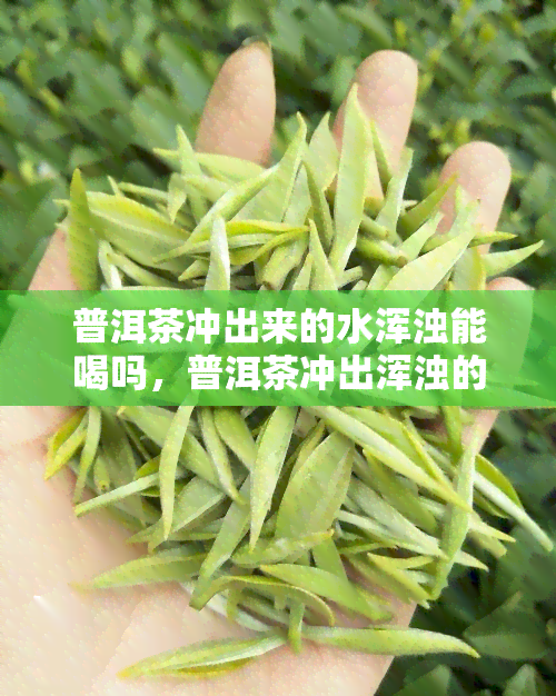 普洱茶冲出来的水浑浊能喝吗，普洱茶冲出浑浊的水还能喝吗？