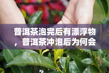 普洱茶泡完后有漂浮物，普洱茶冲泡后为何会有漂浮物？解析原因与处理方法