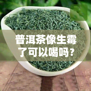 普洱茶像生霉了可以喝吗？有害吗？有霉点是否还能饮用？