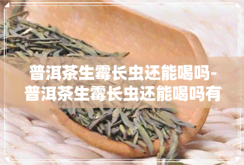 普洱茶生霉长虫还能喝吗-普洱茶生霉长虫还能喝吗有吗