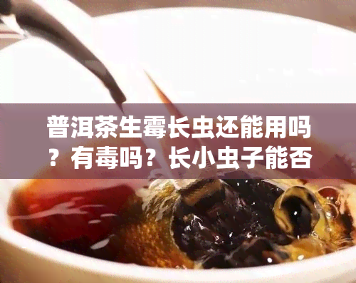 普洱茶生霉长虫还能用吗？有吗？长小虫子能否饮用？