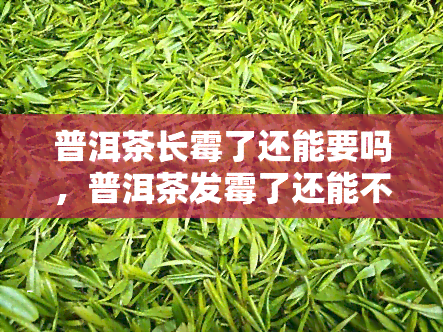 普洱茶长霉了还能要吗，普洱茶发霉了还能不能喝？