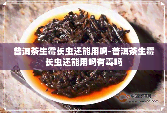 普洱茶生霉长虫还能用吗-普洱茶生霉长虫还能用吗有吗