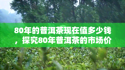 80年的普洱茶现在值多少钱，探究80年普洱茶的市场价值，现在能卖多少钱？