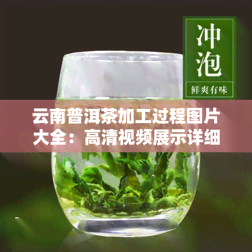 云南普洱茶加工过程图片大全：高清视频展示详细工艺步骤