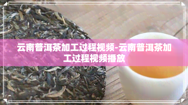 云南普洱茶加工过程视频-云南普洱茶加工过程视频播放