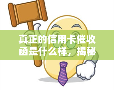 真正的信用卡函是什么样，揭秘真正的信用卡函：你必须知道的要点