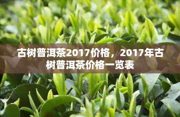 古树普洱茶2017价格，2017年古树普洱茶价格一览表