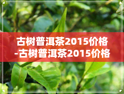 古树普洱茶2015价格-古树普洱茶2015价格表