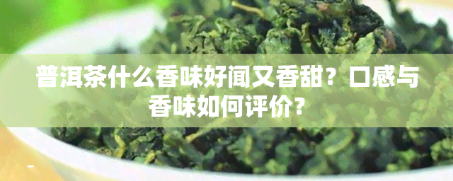 普洱茶什么香味好闻又香甜？口感与香味如何评价？