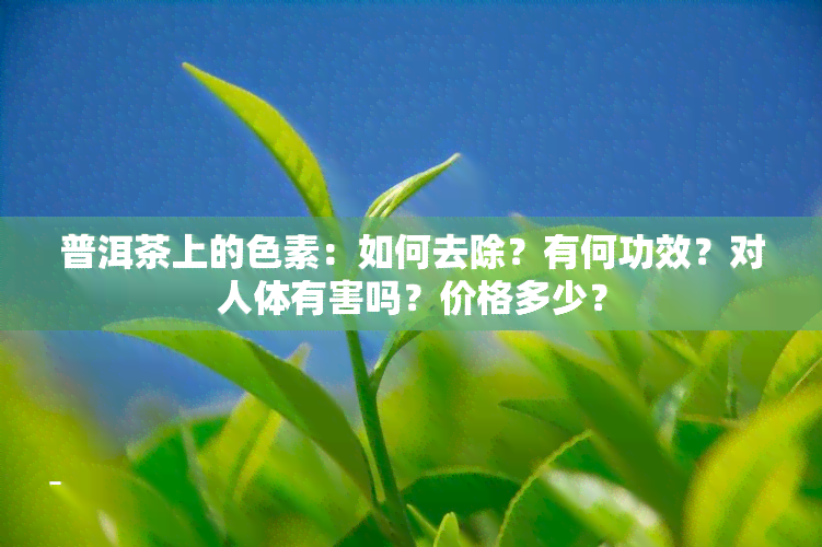 普洱茶上的色素：如何去除？有何功效？对人体有害吗？价格多少？