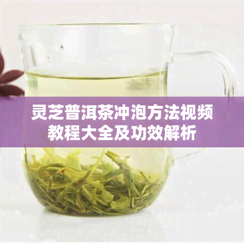 灵芝普洱茶冲泡方法视频教程大全及功效解析