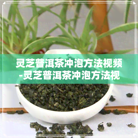 灵芝普洱茶冲泡方法视频-灵芝普洱茶冲泡方法视频教程