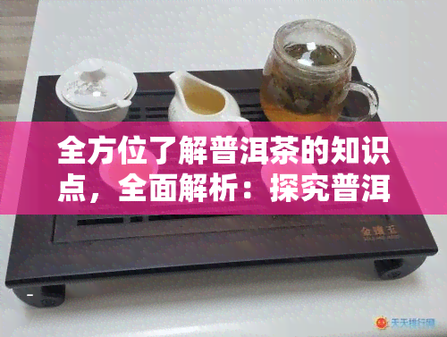 全方位了解普洱茶的知识点，全面解析：探究普洱茶的奥秘与知识要点