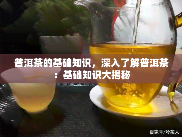 普洱茶的基础知识，深入了解普洱茶：基础知识大揭秘