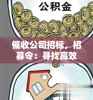 公司招标，招募令：寻找高效可靠的公司进行合作