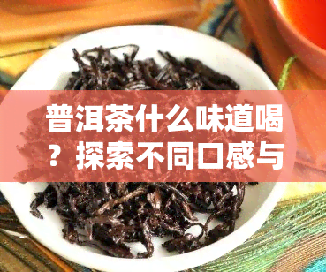 普洱茶什么味道喝？探索不同口感与香气的正宗普洱茶