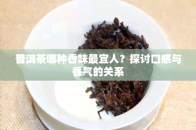 普洱茶哪种香味最宜人？探讨口感与香气的关系