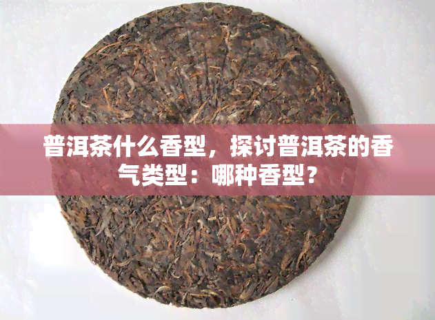 普洱茶什么香型，探讨普洱茶的香气类型：哪种香型？