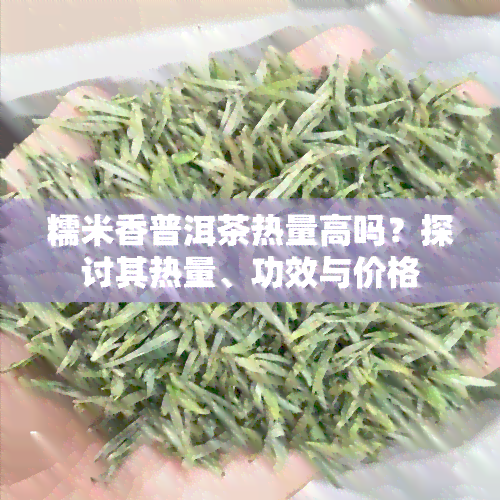 糯米香普洱茶热量高吗？探讨其热量、功效与价格