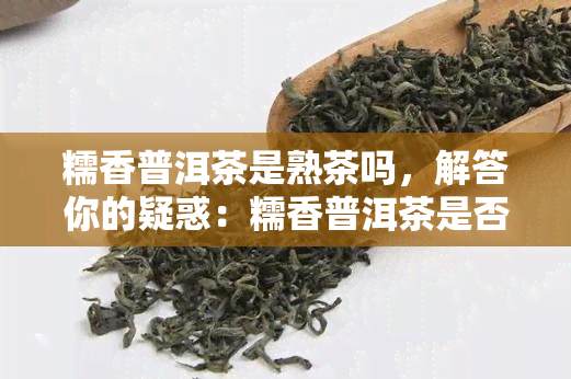 糯香普洱茶是熟茶吗，解答你的疑惑：糯香普洱茶是否属于熟茶？