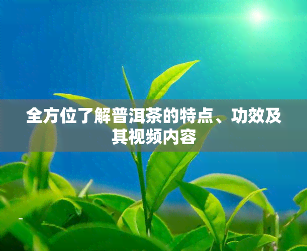 全方位了解普洱茶的特点、功效及其视频内容