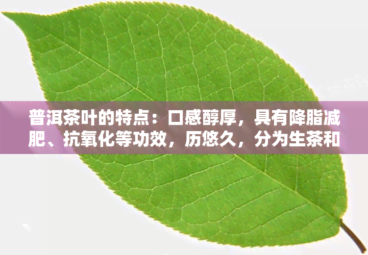 普洱茶叶的特点：口感醇厚，具有降脂减肥、抗氧化等功效，历悠久，分为生茶和熟茶两种类型。