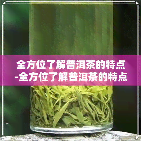 全方位了解普洱茶的特点-全方位了解普洱茶的特点是什么