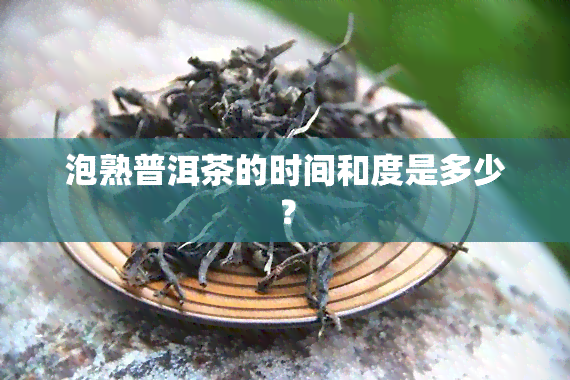 泡熟普洱茶的时间和度是多少？