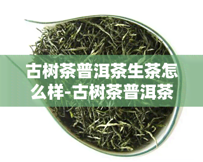 古树茶普洱茶生茶怎么样-古树茶普洱茶生茶怎么样好喝吗