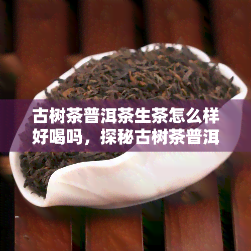 古树茶普洱茶生茶怎么样好喝吗，探秘古树茶普洱茶生茶：口感如何，是否值得一试？