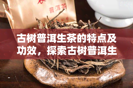 古树普洱生茶的特点及功效，探索古树普洱生茶的独特特点与神奇功效