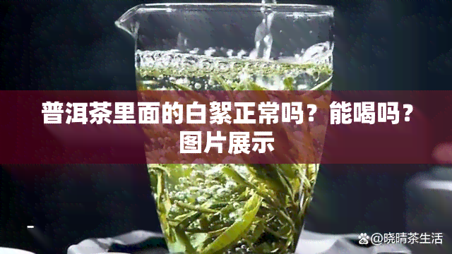 普洱茶里面的白絮正常吗？能喝吗？图片展示