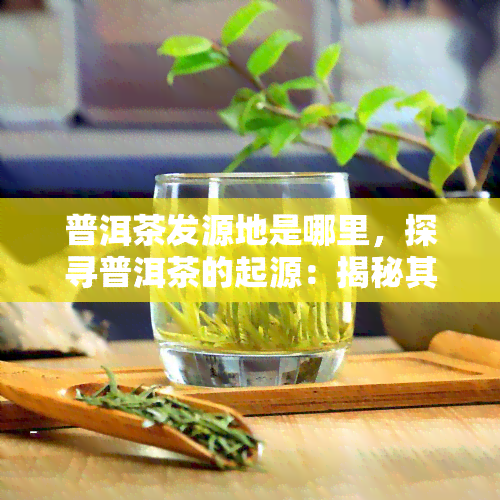 普洱茶发源地是哪里，探寻普洱茶的起源：揭秘其发源地