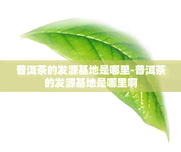 普洱茶的发源基地是哪里-普洱茶的发源基地是哪里啊