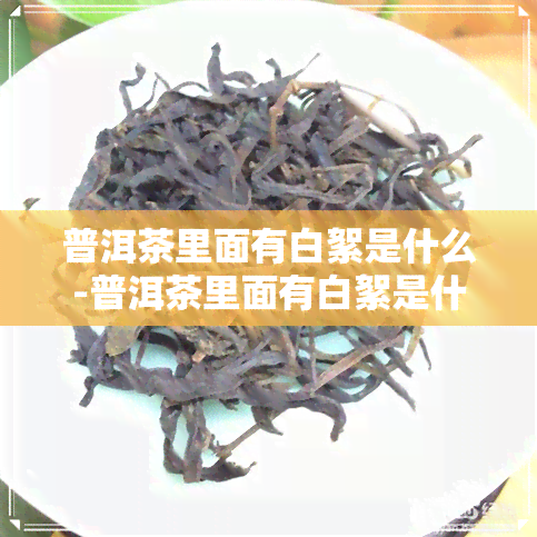 普洱茶里面有白絮是什么-普洱茶里面有白絮是什么原因