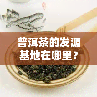 普洱茶的发源基地在哪里？详解其历与原产地